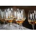 Rum Paradise Live Tasting für Einsteiger 22.03.2024